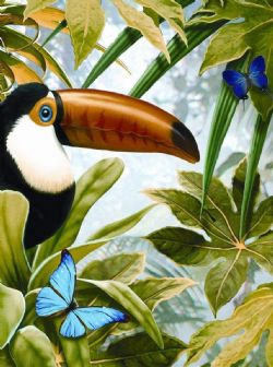 ROYAL & LANGNICKEL -  PAINT BY NUMBERS - Jungle Toucan