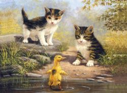 ROYAL & LANGNICKEL -  PAINT BY NUMBERS - Pond Pals