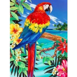 ROYAL & LANGNICKEL -  PAINT BY NUMBERS - Scarlet Macaw