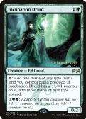 Ravnica Allegiance Promos -  Incubation Druid