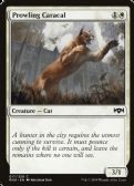 Ravnica Allegiance -  Prowling Caracal