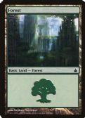 Ravnica: City of Guilds -  Forest