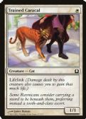 Return to Ravnica -  Trained Caracal