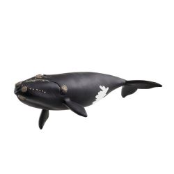 SCHLEICH FIGURE -  NORTH ATLANTIC RIGHT WHALE (7,7 X 3,8 X 1,8 INCH) -  WILD LIFE 14878