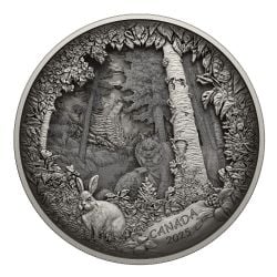 SHADOW BOX COINS -  PREDATOR OR PREY IN SHADOW BOX (FROM THE R&D LAB) -  2025 CANADIAN COINS 02