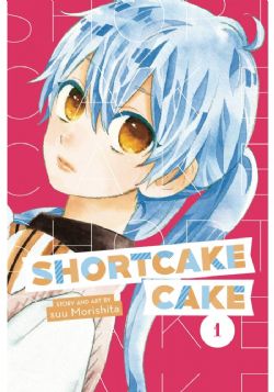 SHORTCAKE CAKE -  SHORTCAKE CAKE 01