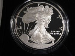 SILVER EAGLES -  2004 