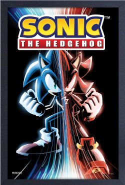 SONIC THE HEDGEHOG -  SONIC - GAME OVER - PICTURE FRAME (13