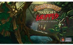 SPIRIT ISLAND -  EXPANSION - DE BRANCHES ET DE GRIFFES (FRENCH)