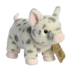 SPOTTED PIG -  ECO NATION