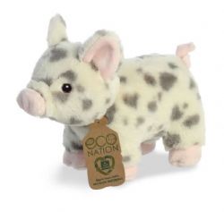 SPOTTED PIG -  ECO NATION