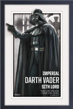 STAR WARS -  IMPERIAL LORD - FRAMED PICTURE (WHITE) (13