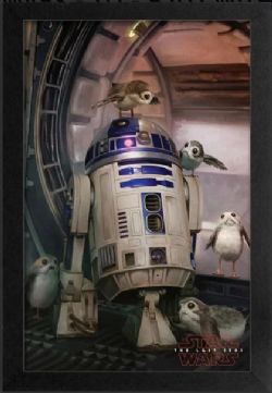 STAR WARS -  R2D2 WITH BIRDS FRAMED PICTURE (13