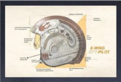 STAR WARS -  X-WING PILOT DIAGRAM FRAMED PICTURE (13