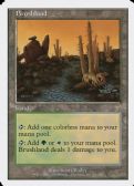 Seventh Edition -  Brushland