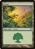 Shards of Alara -  Forest