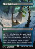 Special Guests -  Misty Rainforest