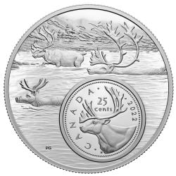 THE BIGGER PICTURE -  25-CENT COIN: THE CARIBOU -  2022 CANADIAN COINS 03