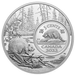 THE BIGGER PICTURE -  5-CENT COIN: – THE BEAVER -  2022 CANADIAN COINS 02