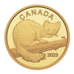 THE CURIOUS MARTEN -  2023 CANADIAN COINS