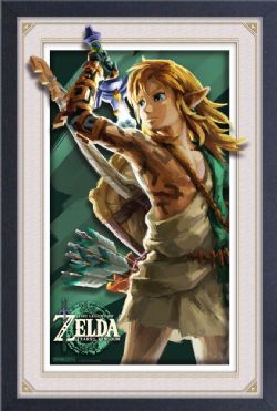 THE LEGEND OF ZELDA -  PRIMAL LINK - FRAMED PICTURE (WHITE) (13