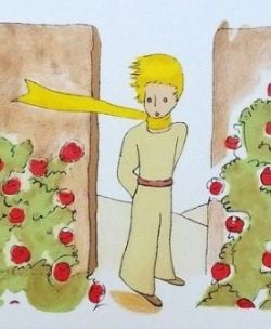 THE LITTLE PRINCE -  ''IN ROSE GARDEN'' MAGNET