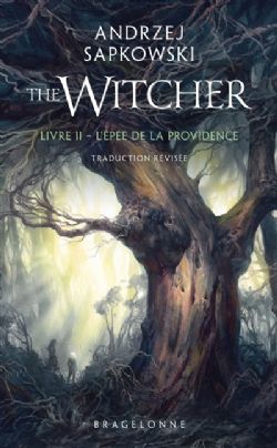 THE WITCHER -  L'ÉPÉE DE LA PROVIDENCE - FORMAT POCHE (FRENCH V.) 02