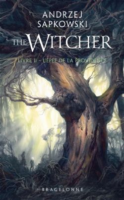 THE WITCHER -  L'ÉPÉE DE LA PROVIDENCE (POCKET EDITION) (FRENCH V.) 02