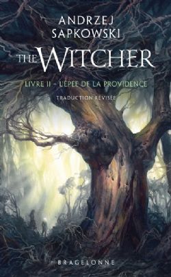 THE WITCHER -  L'ÉPÉE DE LA PROVIDENCE (POCKET EDITION) (FRENCH V.) 02