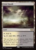 Tarkir: Dragonstorm Commander -  Fetid Heath
