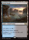 Tarkir: Dragonstorm Commander -  Fetid Pools