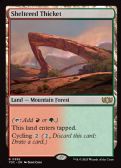 Tarkir: Dragonstorm Commander -  Sheltered Thicket
