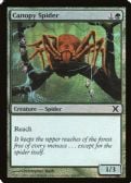 Tenth Edition -  Canopy Spider