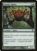 Tenth Edition -  Canopy Spider