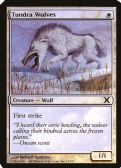 Tenth Edition -  Tundra Wolves