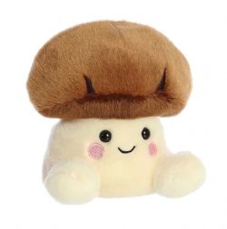 UMAMI SHIITAKE MUSHROOM (5