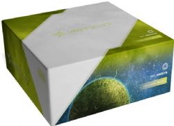 UNSETTLED -  EXPANSION - KOGUYA (ENGLISH)