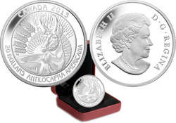 UNTAMED CANADA -  PRONGHORN -  2013 CANADIAN COINS 02