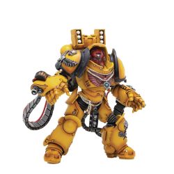 WARHAMMER 40K -  IMPERIAL FISTS INTERCSSRS BROTHER LYCIAS FIGURE - 1/18 SCALE -  JOYTOY