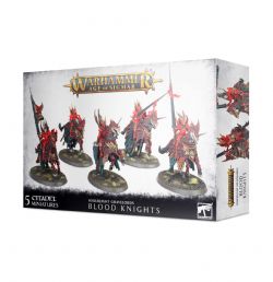 WARHAMMER : AGE OF SIGMAR -  BLOOD KNIGHTS -  SOULBLIGHT GRAVELORDS