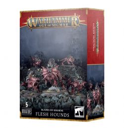 WARHAMMER : AGE OF SIGMAR -  FLESH HOUNDS -  BLADES OF KHORNE