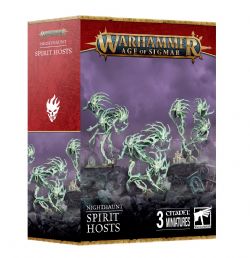 WARHAMMER : AGE OF SIGMAR -  SPIRIT HOST -  NIGHTHAUNT