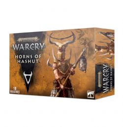 WARHAMMER : AGE OF SIGMAR - WARCRY -  HORNS OF HASHUT -  SLAVES TO DARKNESS