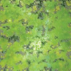 WARLOCK TILES -  GAME MAT - ACID LAGOON -  MINIATURE TERRAIN