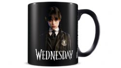 WEDNESDAY -  FRIENDSHIP CERAMINC MUG (11 OZ)