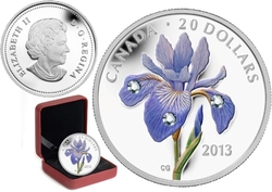 WILDFLOWERS -  BLUE FLAG IRIS WITH CRYSTAL DEW DROPS -  2013 CANADIAN COINS 04