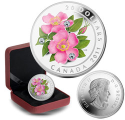 WILDFLOWERS -  WILD ROSE WITH CRYSTAL DEW DROPS -  2011 CANADIAN COINS 02