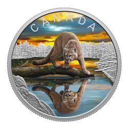 WILDLIFE REFLECTIONS -  COUGAR -  2024 CANADIAN COINS 02