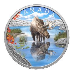 WILDLIFE REFLECTIONS -  MOOSE -  2024 CANADIAN COINS 03
