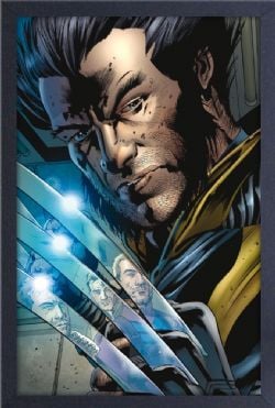 WOLVERINE -  REFLECTION - FRAMED PICTURE (WHITE) (13